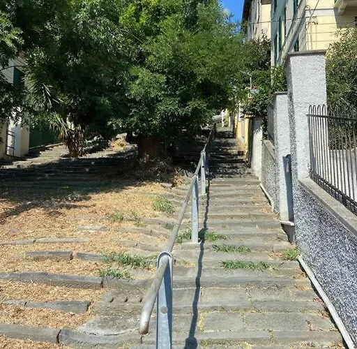 All'ombra Delle Sophore * La Spezia